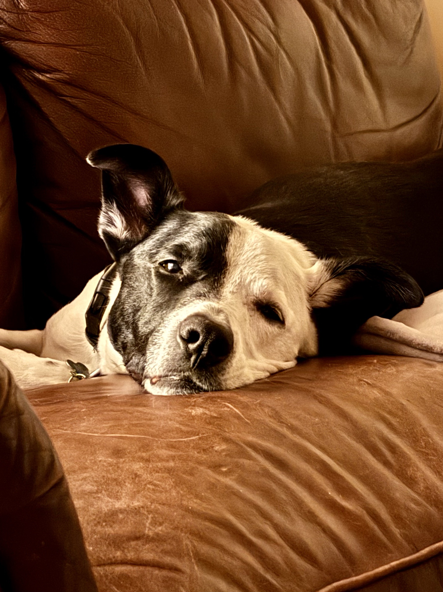 Finn's Hilarious Battle with Daylight Savings Time