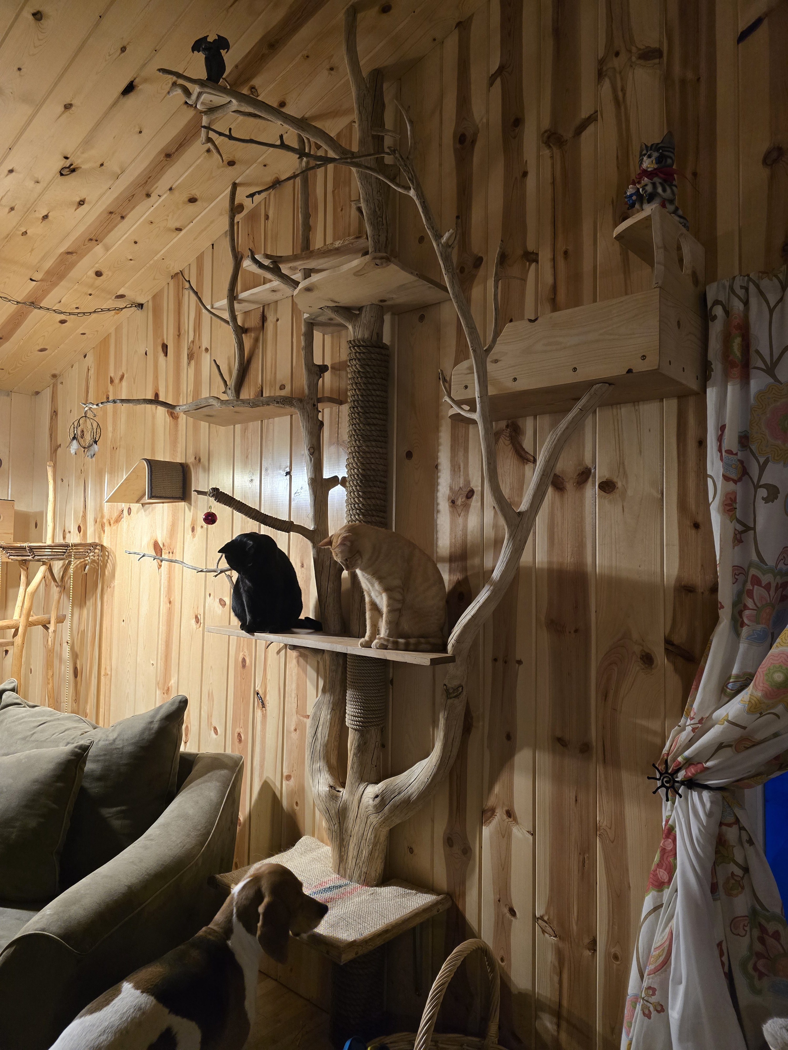 The Ultimate Indoor Jungle Gym: Designed for Cats