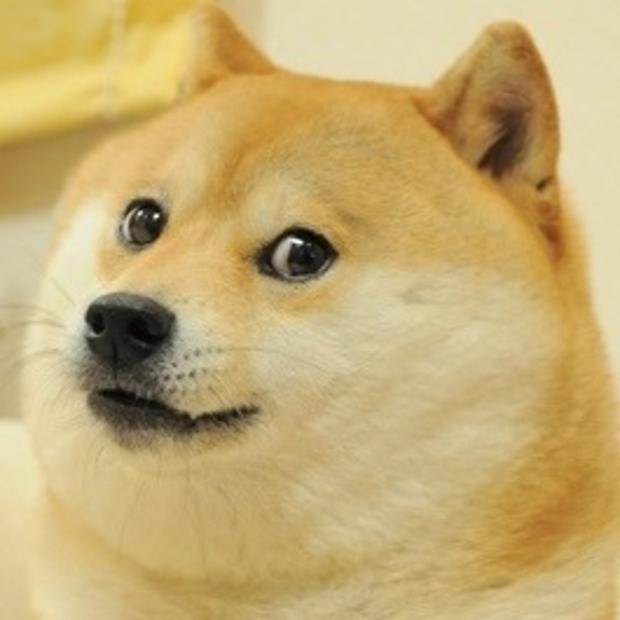 The Purge is on: DOGE infiltrates the FBI to expose 5,000 agents linked to January 6 cases and faces the consequences