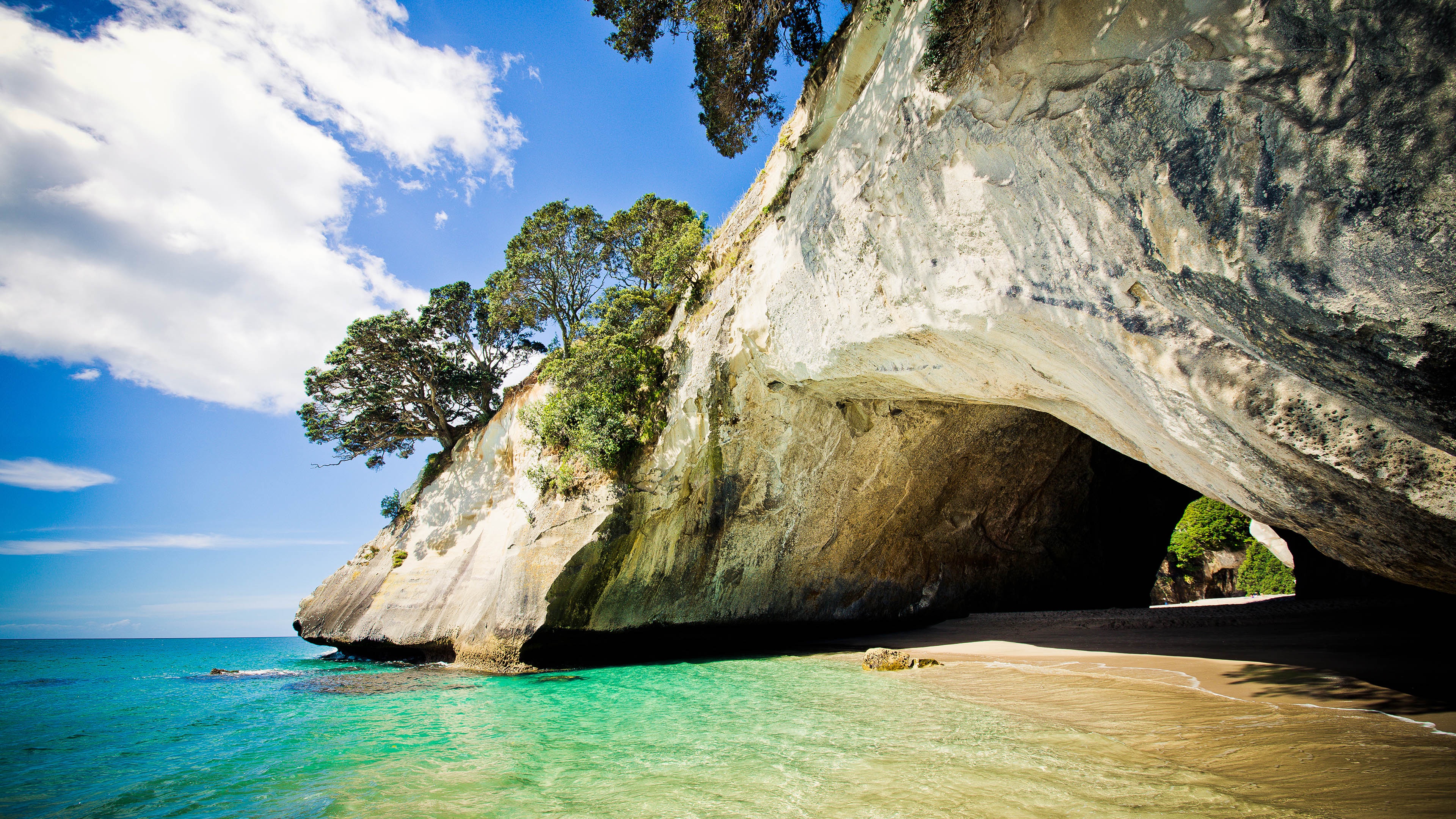 Discovering a Hidden Cove on Coromandel