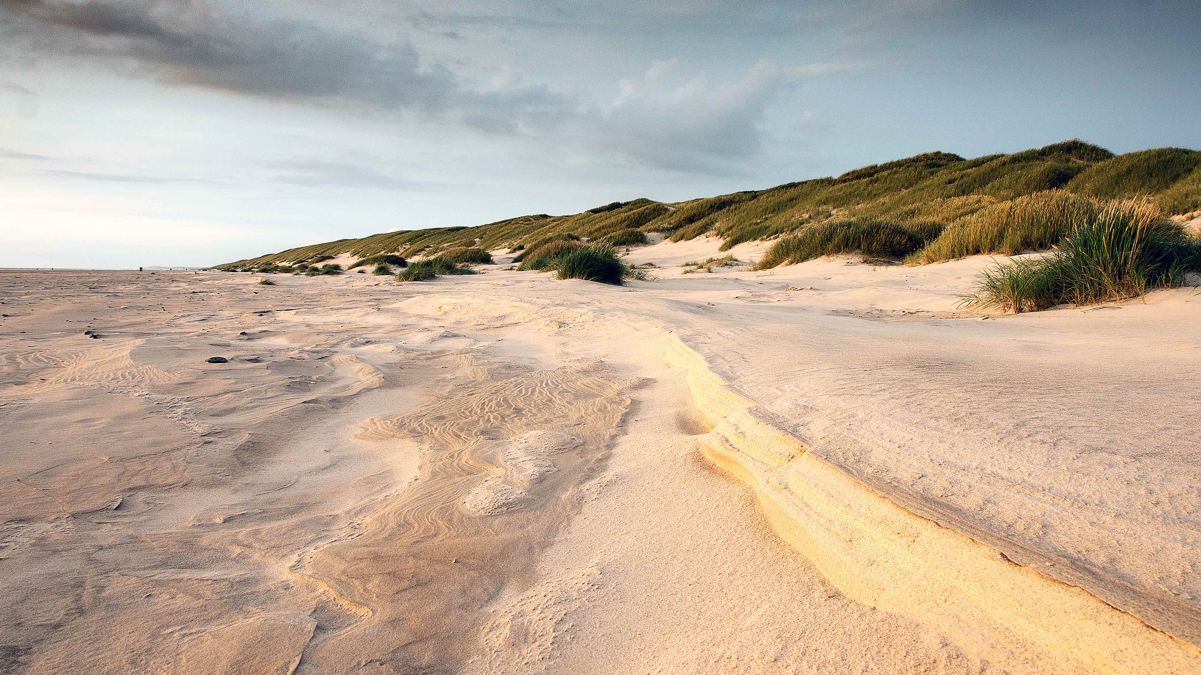 Exploring the Enchanting Dunes of Denmark