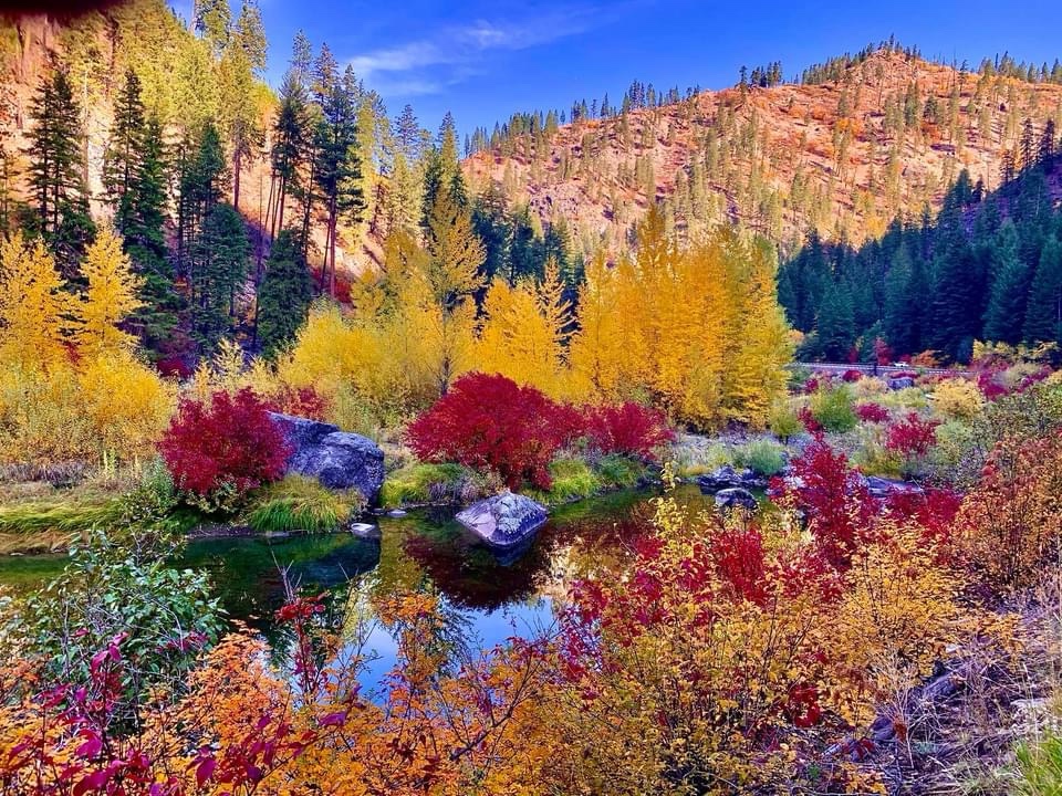 The Beauty of Autumn Unfolds