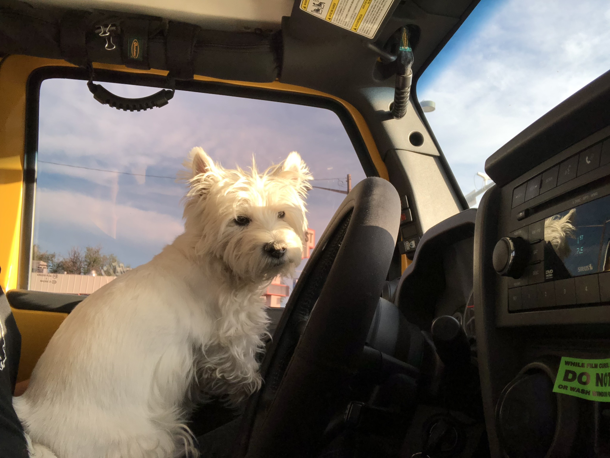 Not a Fan of My Driving? Better Call an Uber! - Lily Bella Every Day