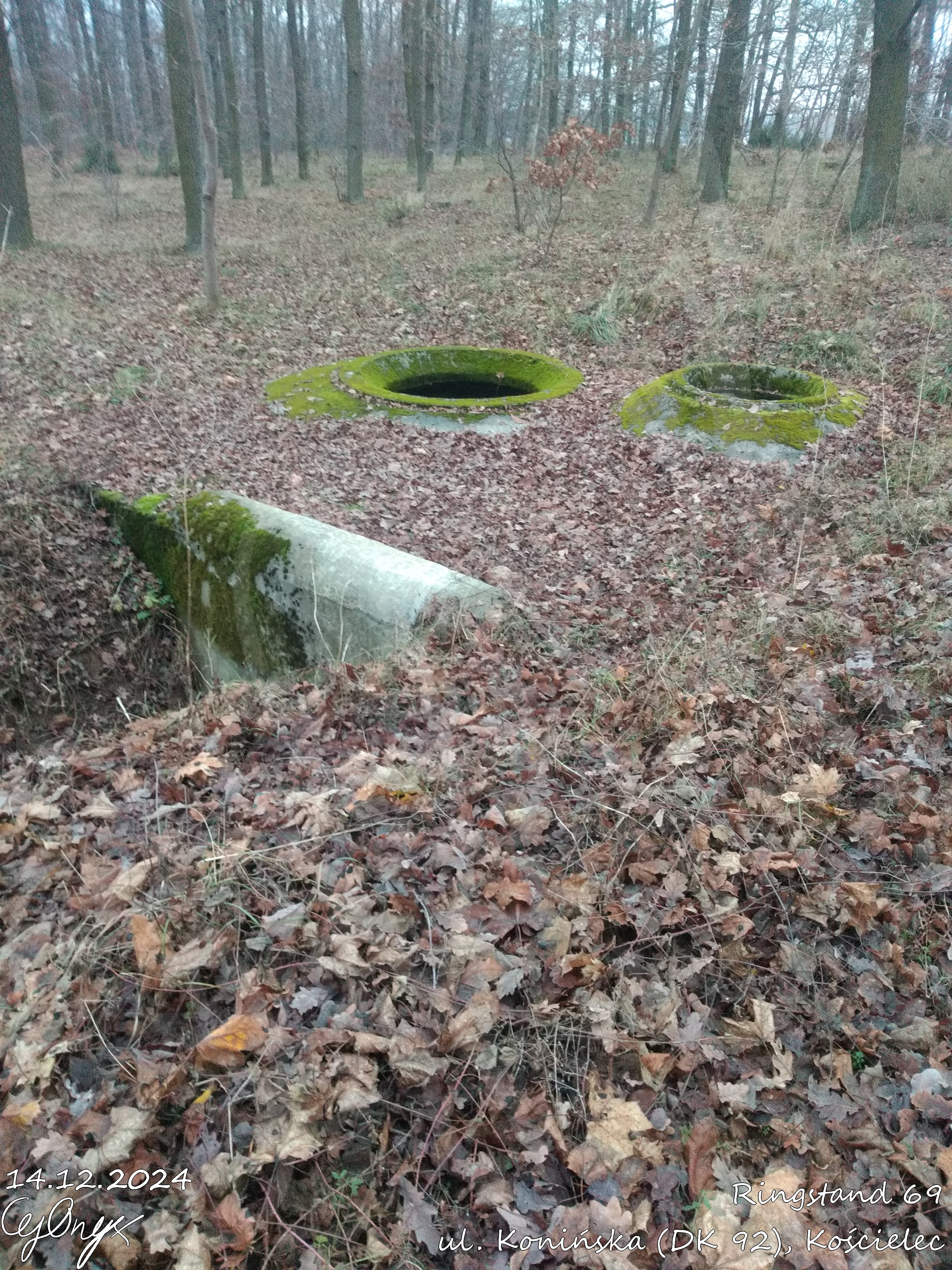 Ringstand 69 - Koniąża, Kołcielec Unleashed