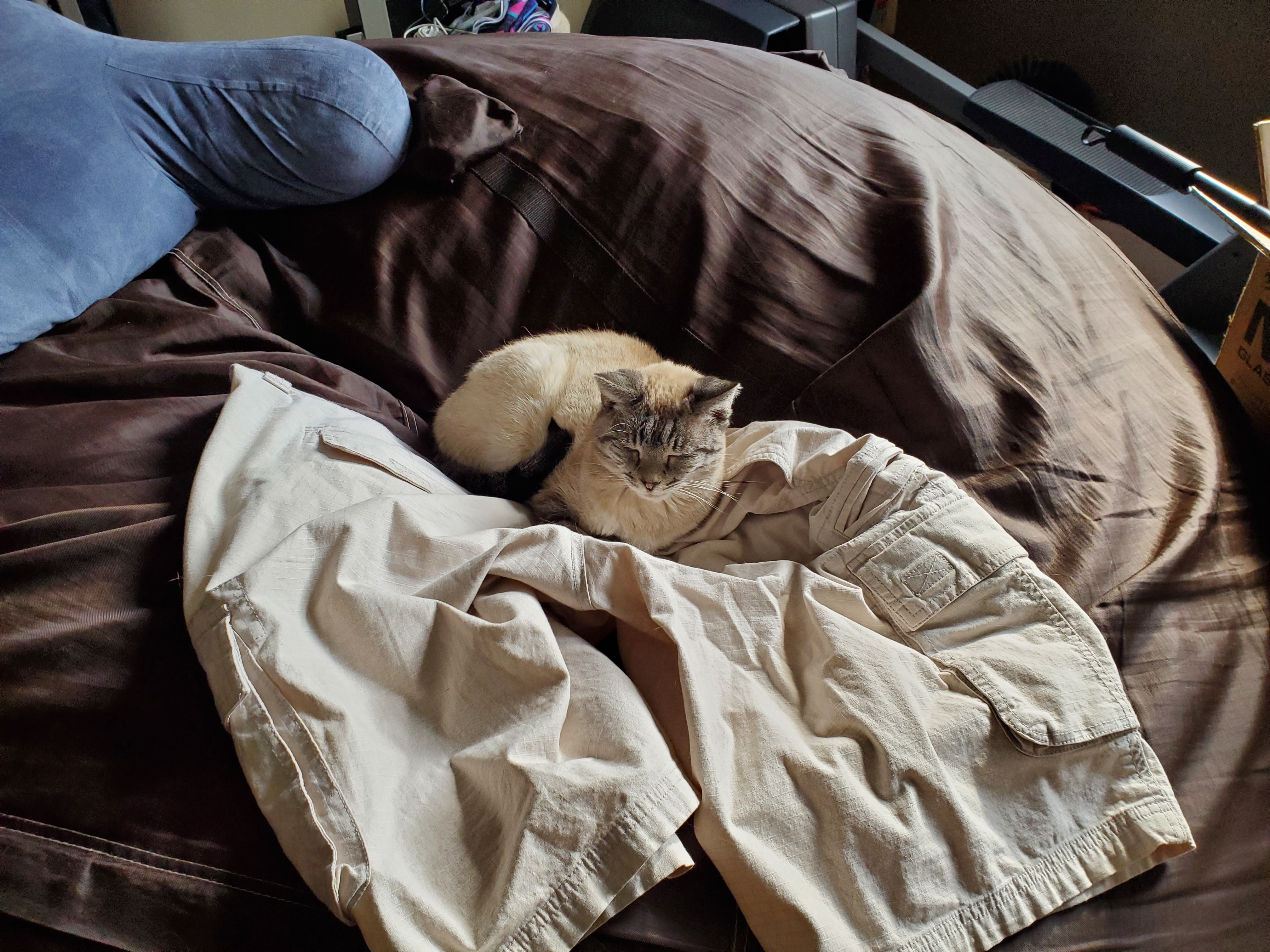 Butters, Can I Get My Pants Back? Oh, You Won't?