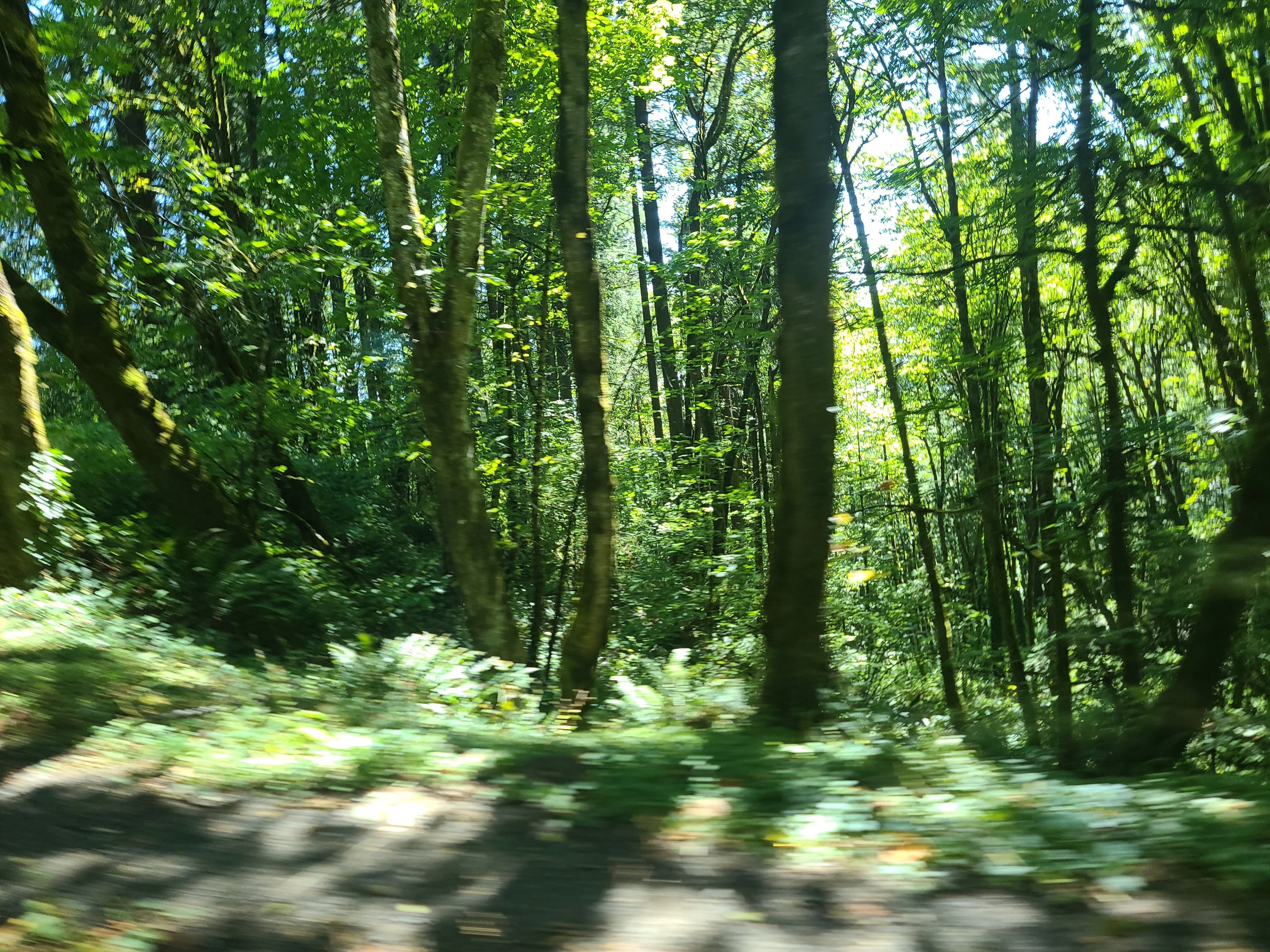 My Journey of Moving to Portland This Year