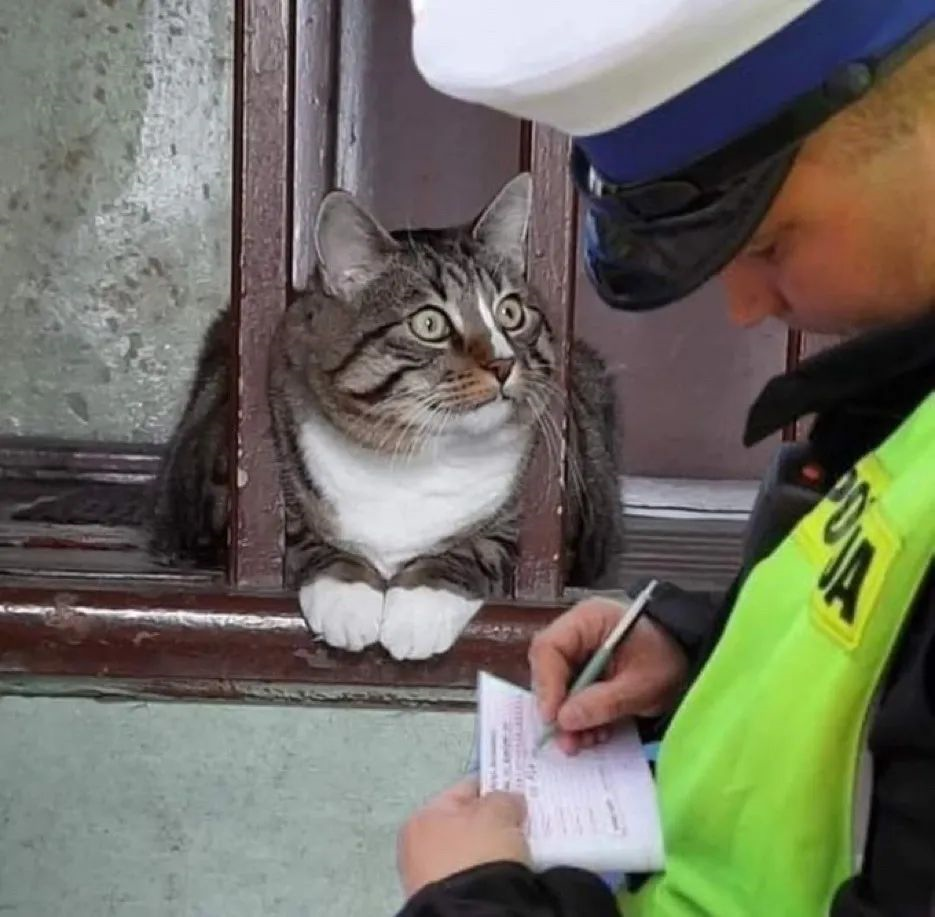 Caught Red-Handed!
