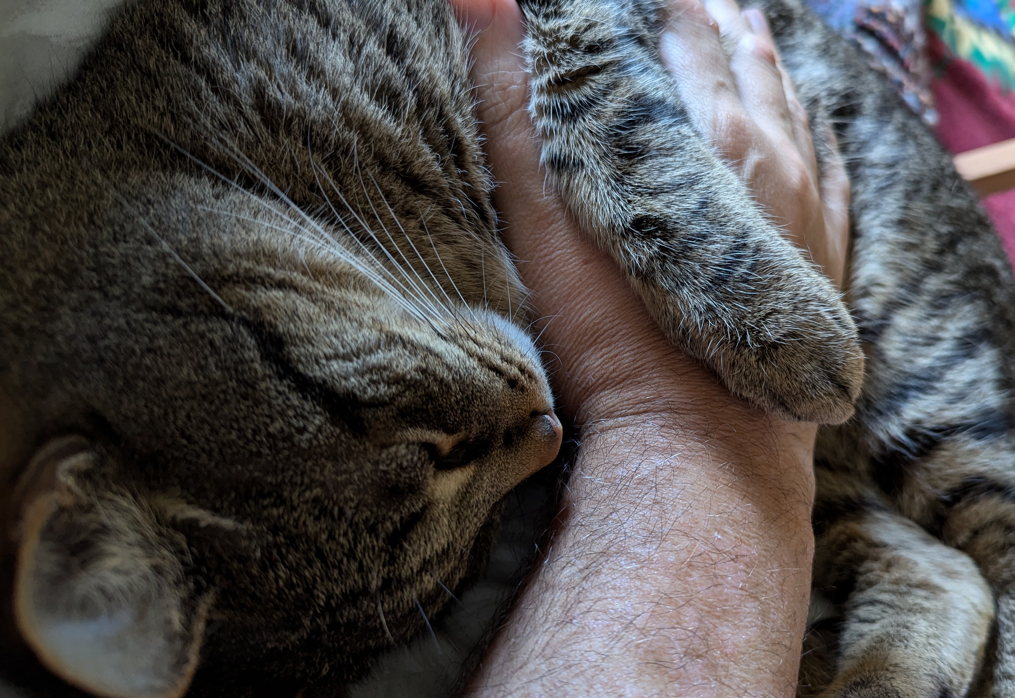 Time to Unwind and Recharge...