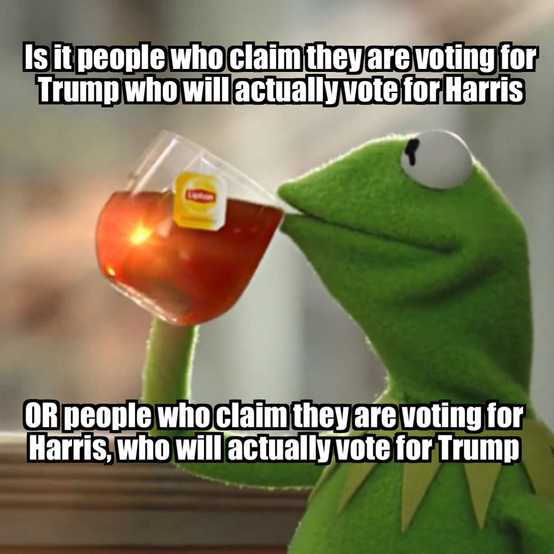 Polls Are Too Close to Call: Trust Issues in Voting Trends