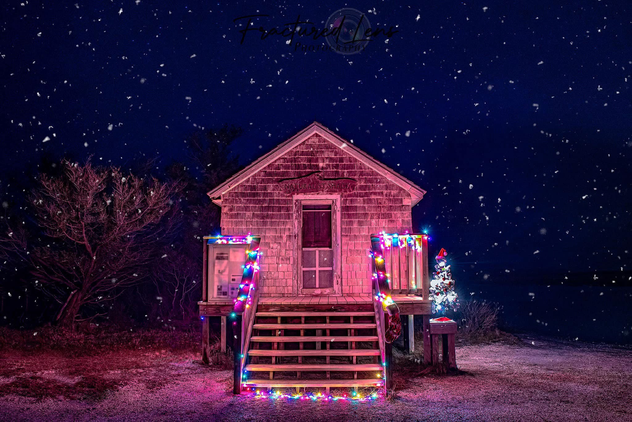 A Magical Assateague Island Christmas Adventure