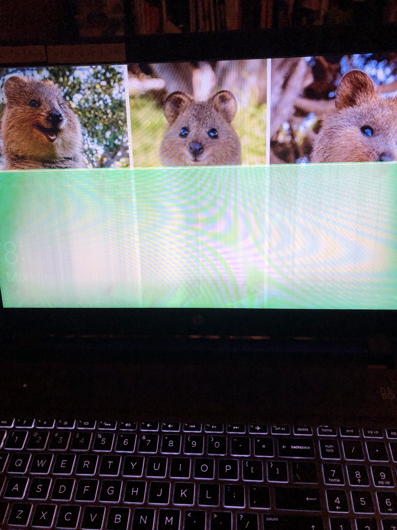 What Could Be Causing This Mystery?