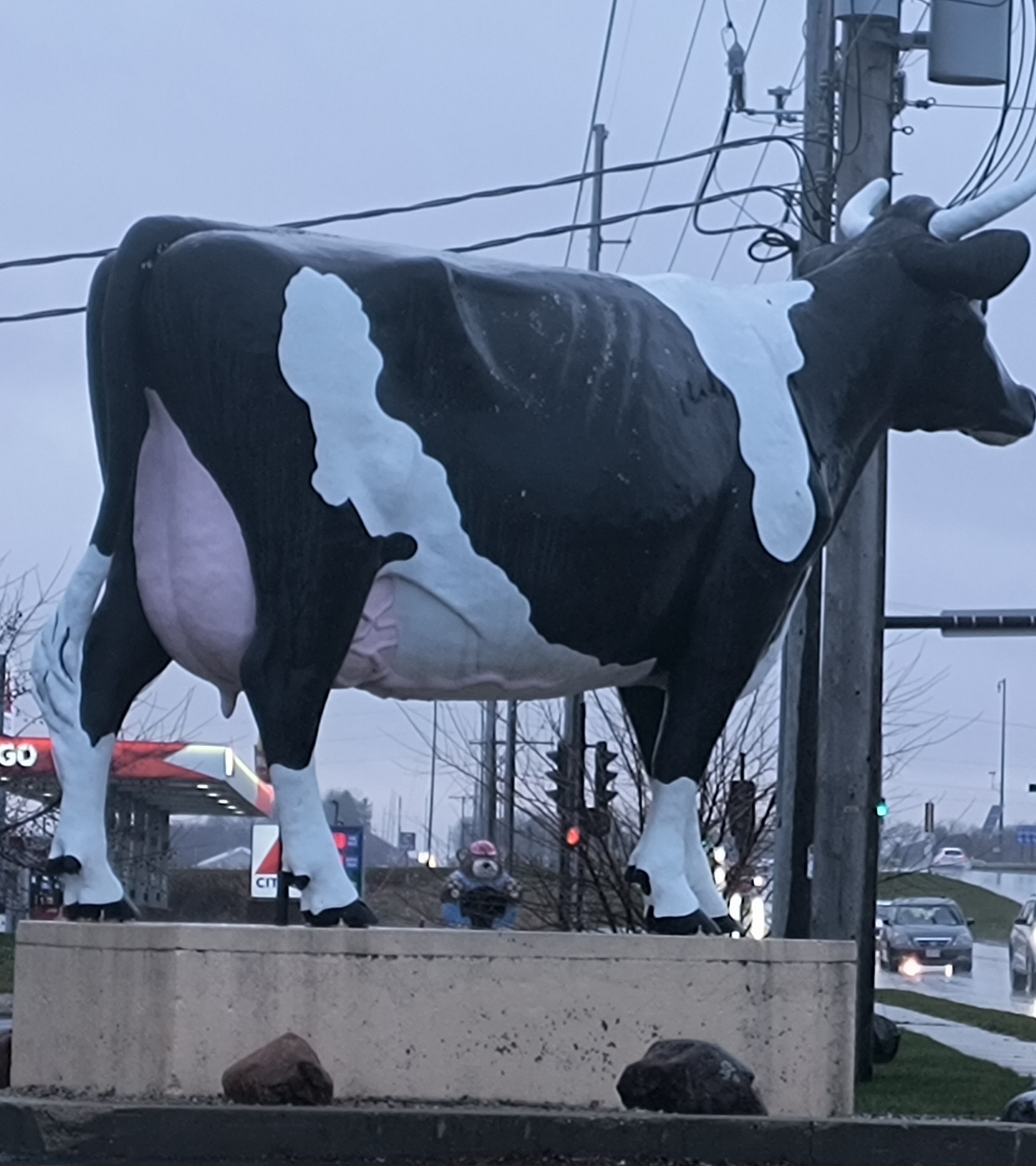Would You Kindly Snowball a Giant Fiberglass Holstein from Wisconsin?