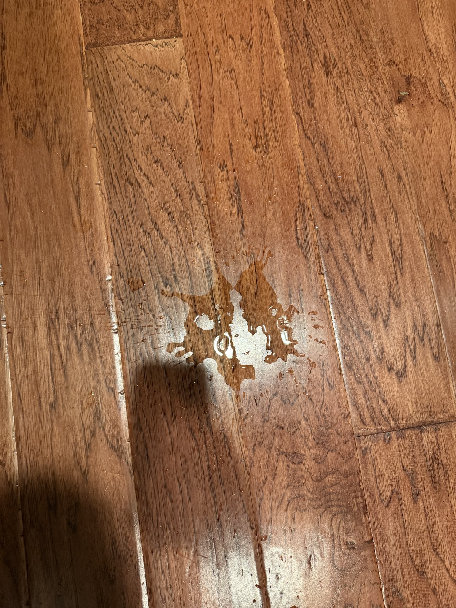 When a Water Spill Looks Like a Family Argument