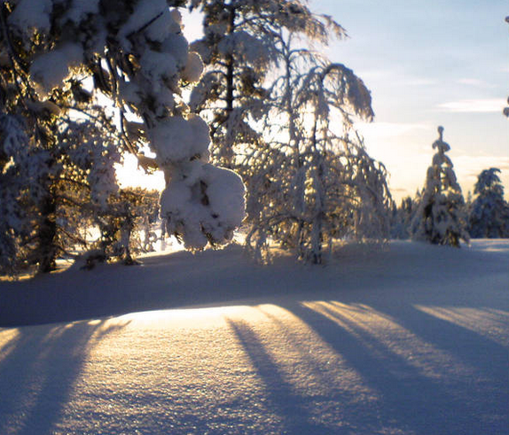 Winter's Embrace: Sunlight in the Cold