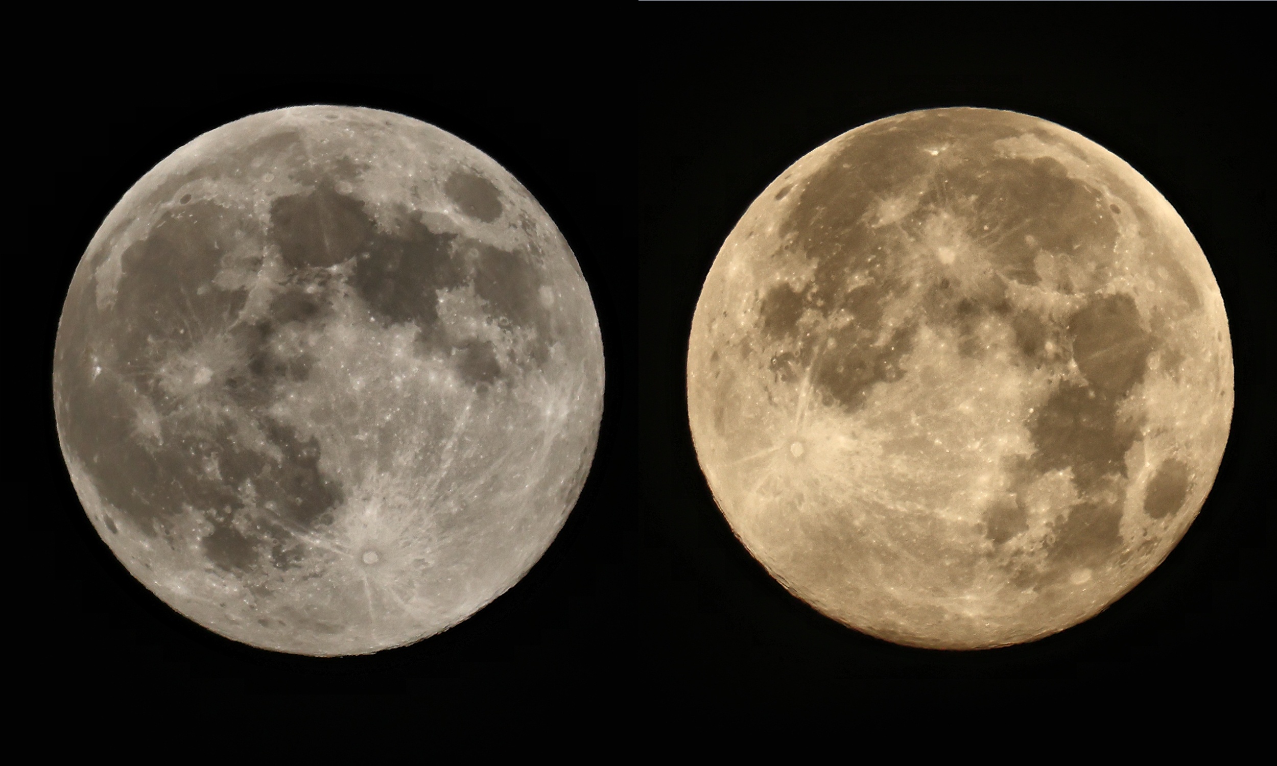 Mark Your Calendars: Full Moon on November 15, 2024