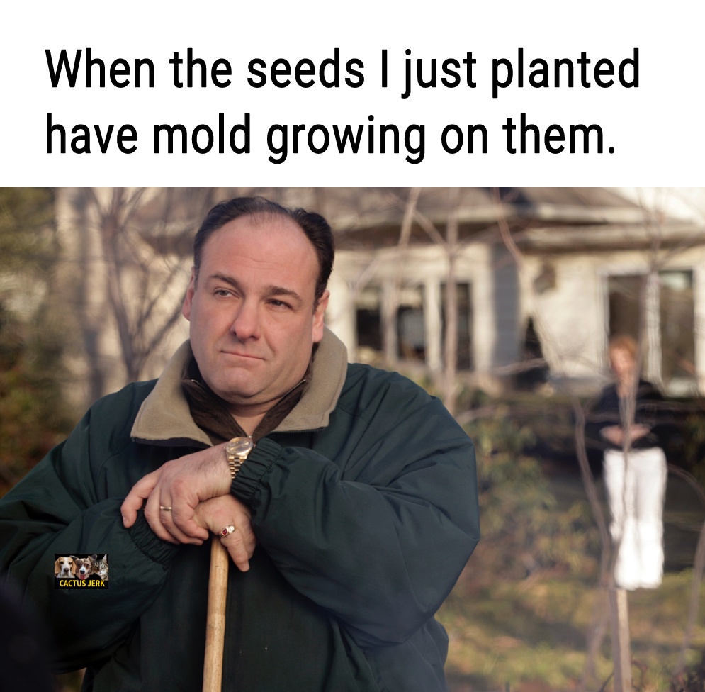The Master Grower at Work
