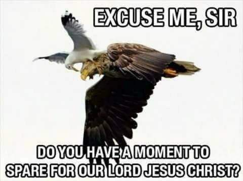 Pardon me, Sir Braaawwwwk!