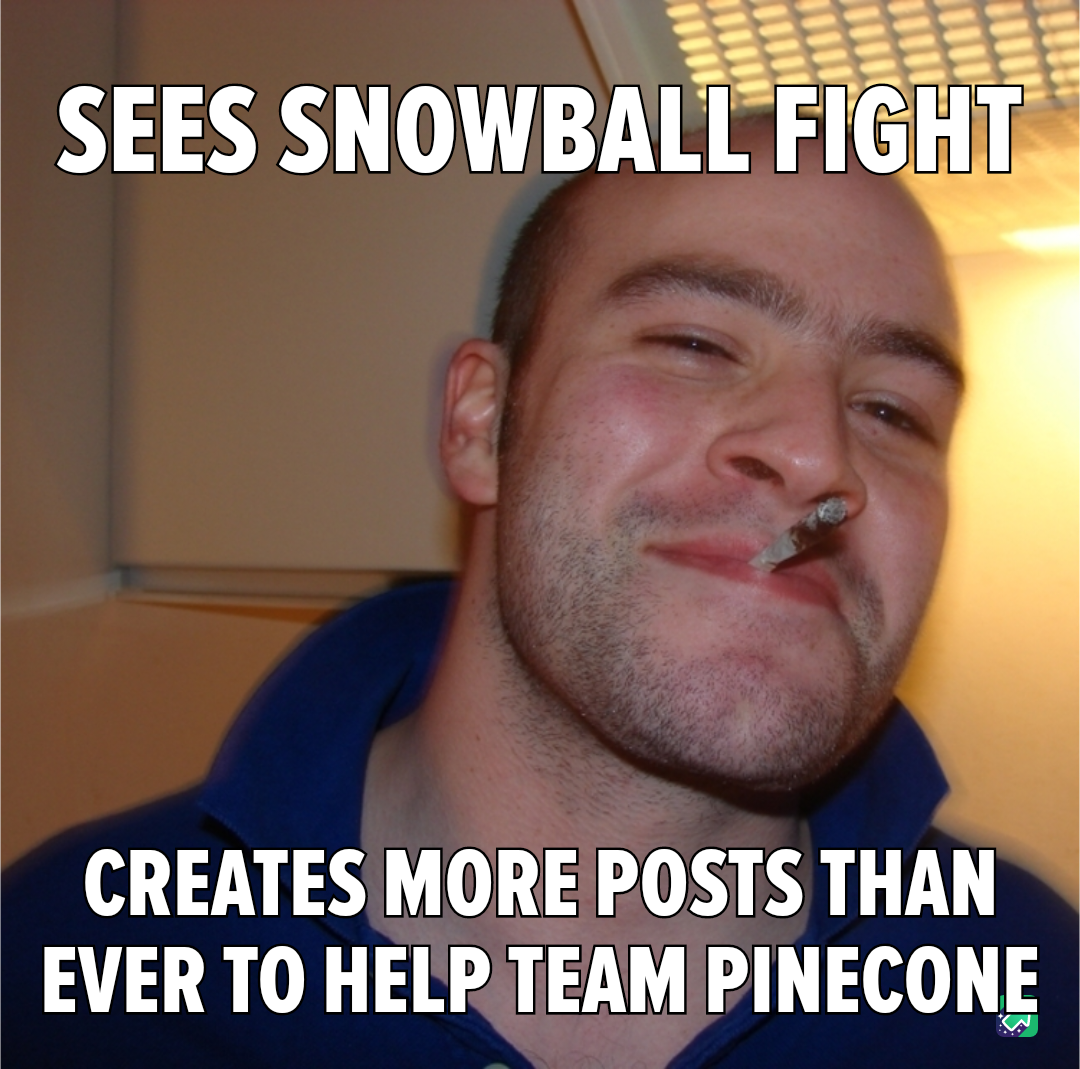 My Contribution to the Pinecone Collection