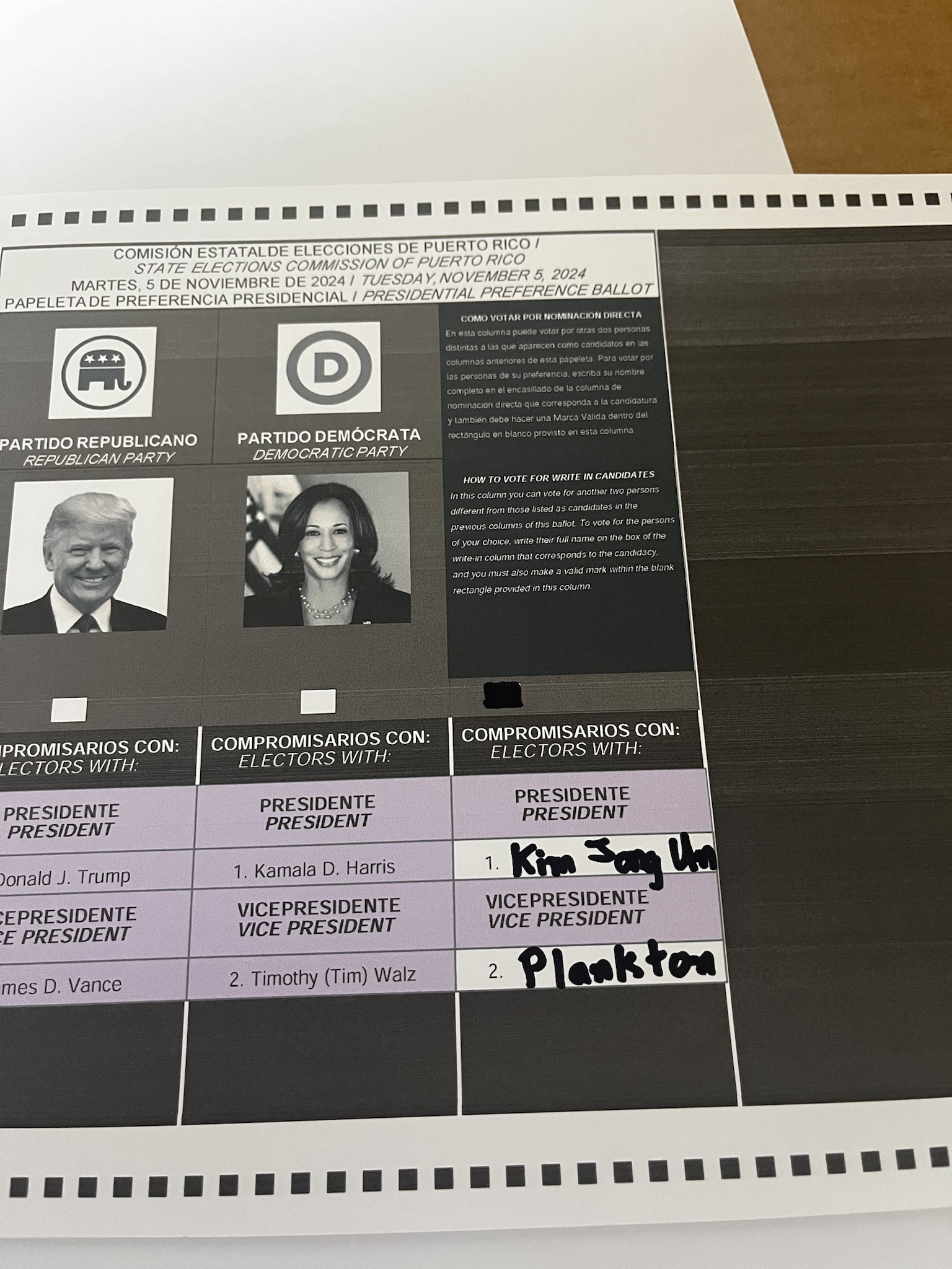 I Made My Choice: I Voted!