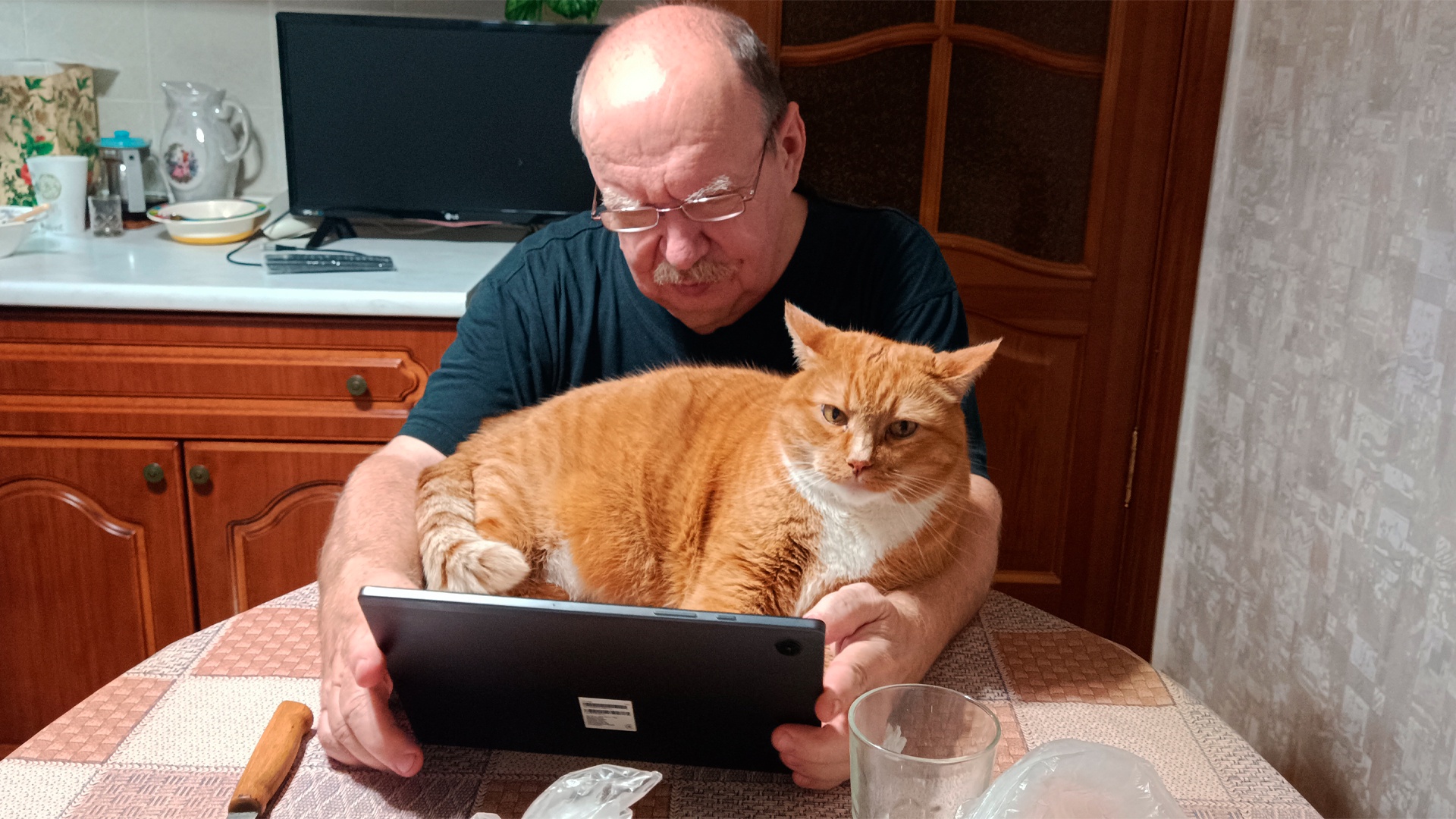 Visiting my grandparents for a few days, and our cat has found the coziest spot in the house.