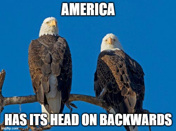 The Current State of America: A Snapshot
