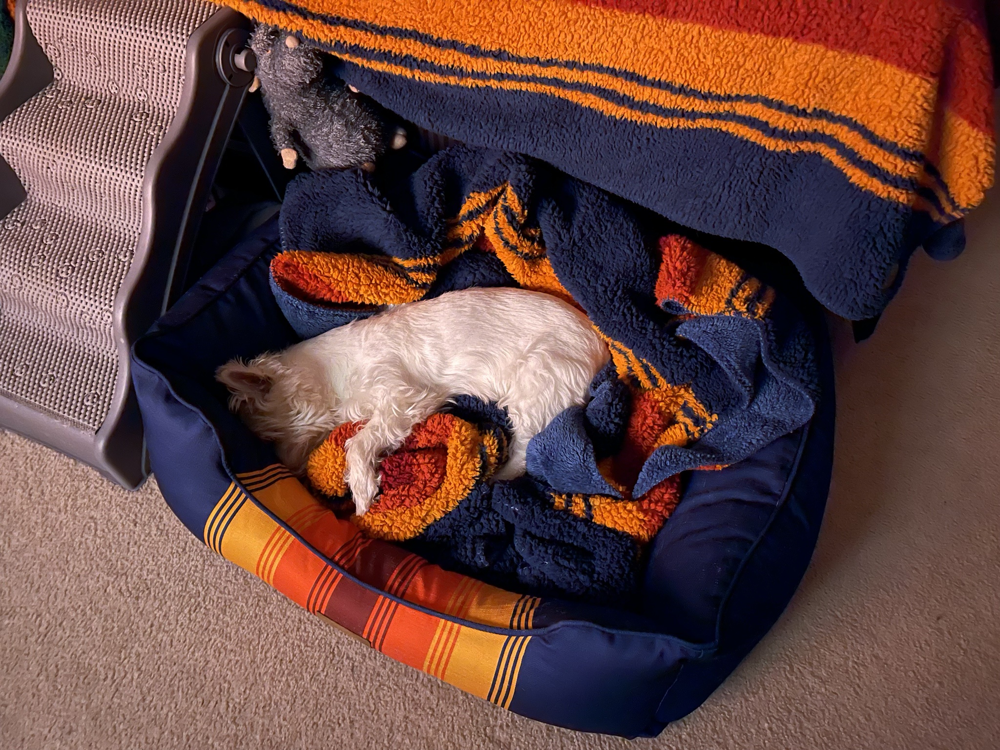 A Sleeping Angel: Honoring LB Every Day