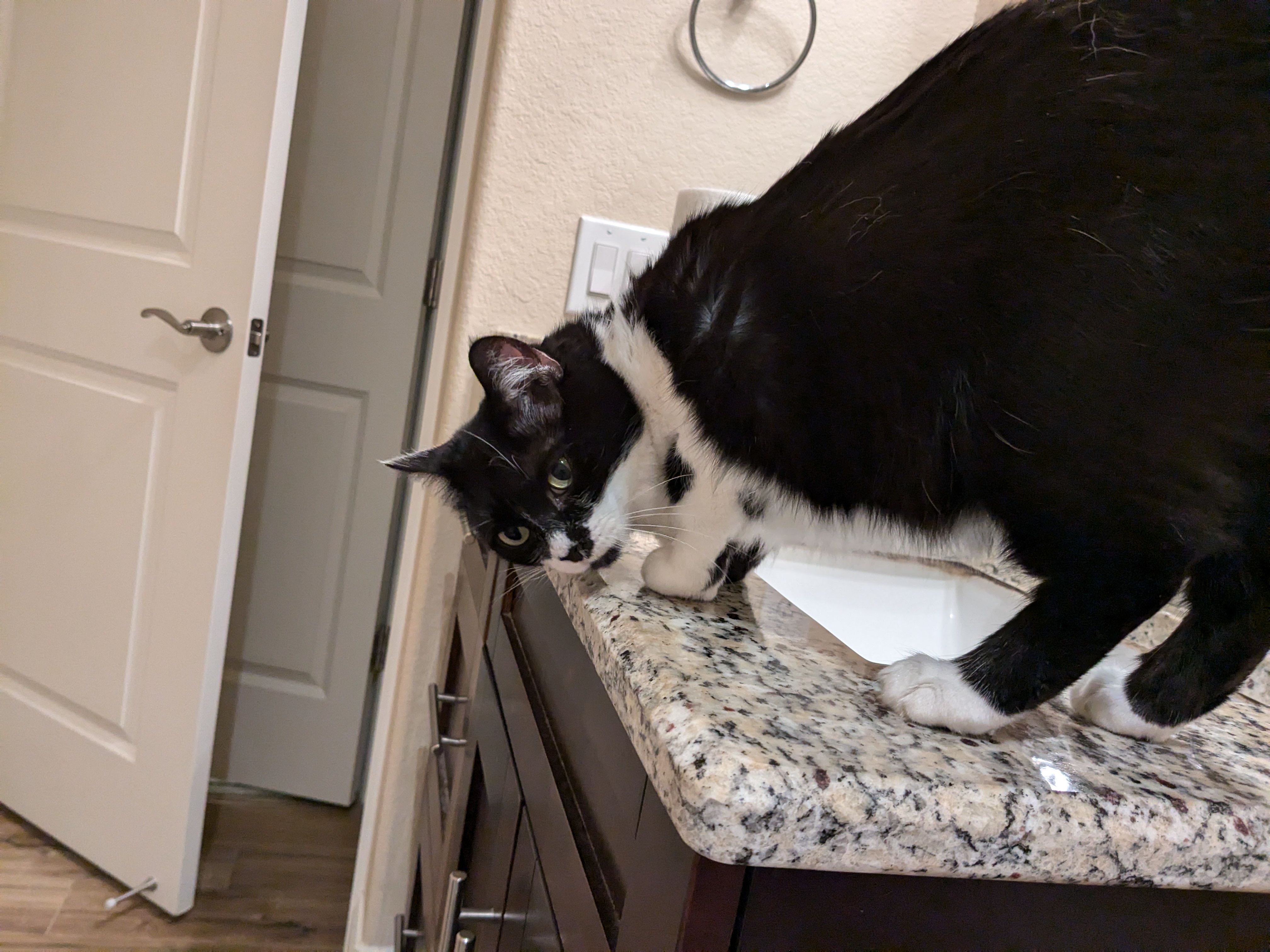 When You Need Supervision Just to Use the Bathroom