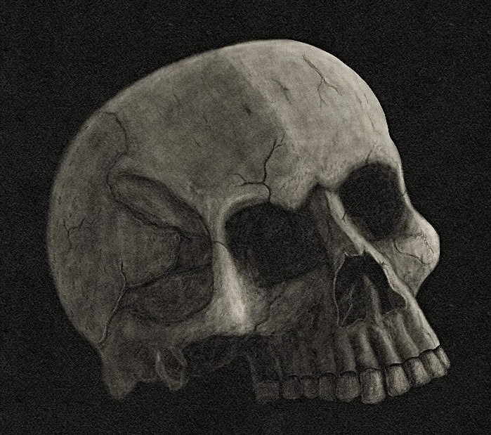 Showcasing My Latest Skull Art Creations