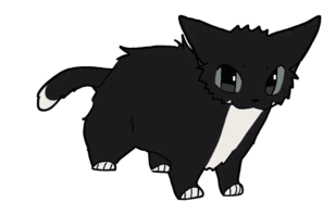 Adorable Cat Moments