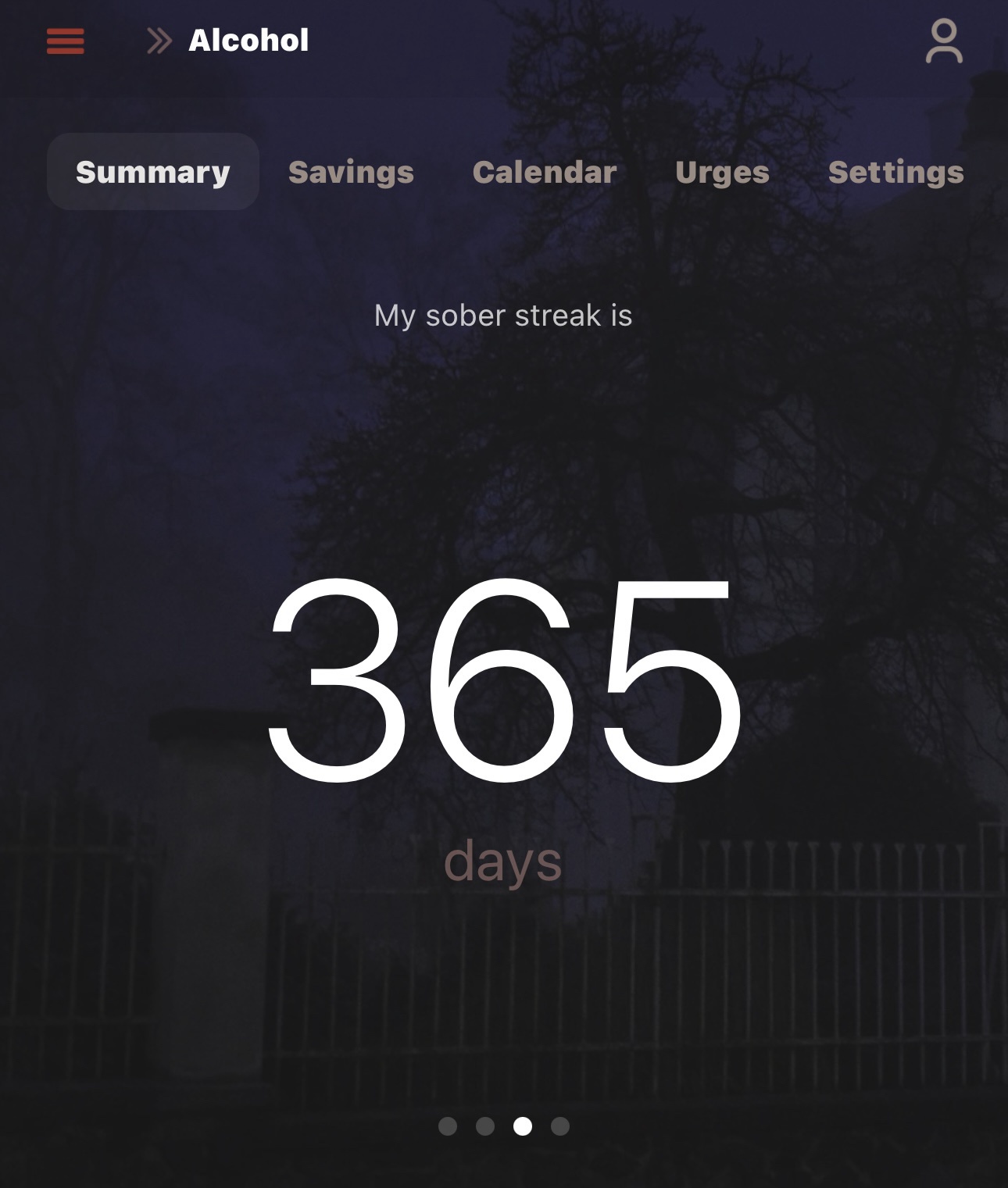 Celebrating Every Single Day of the Year: 366 Days of Fun!