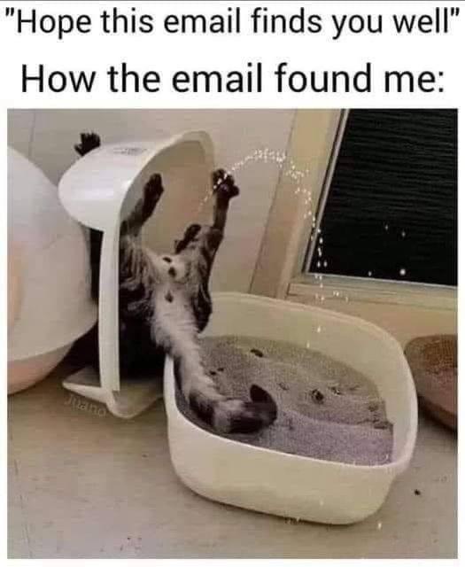 Sharing Memes to Escape the Reality of Losing My Rights