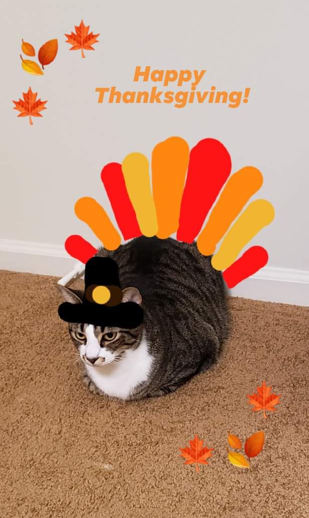 Wishing You a Joyful Thanksgiving Celebration!