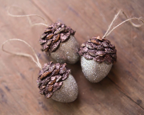 Join the Acorn Squad!