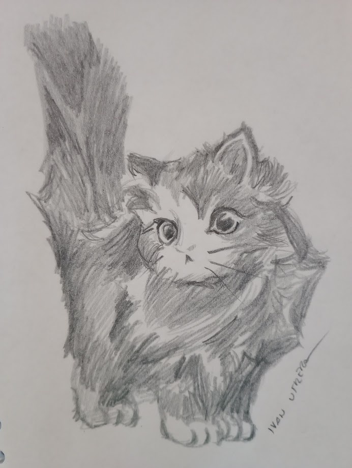 Just a Cat: The Internet's Favorite Feline