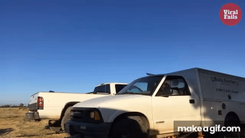 A Collection of Silent but Deadly GIFs