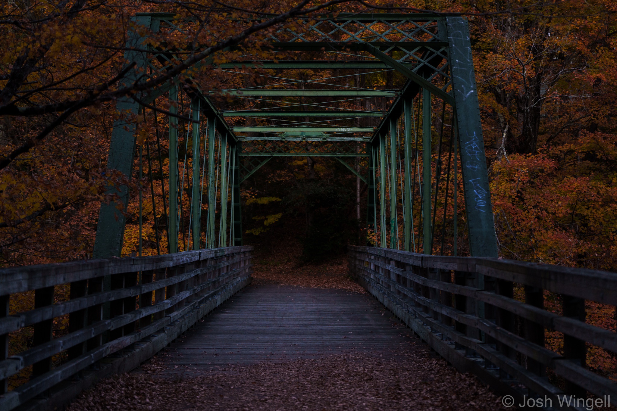 Capturing the Beauty of Fall in Photos