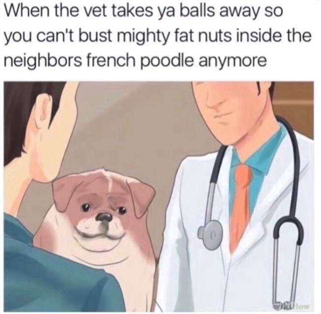 Another wild collection of stolen memes, edition #5!