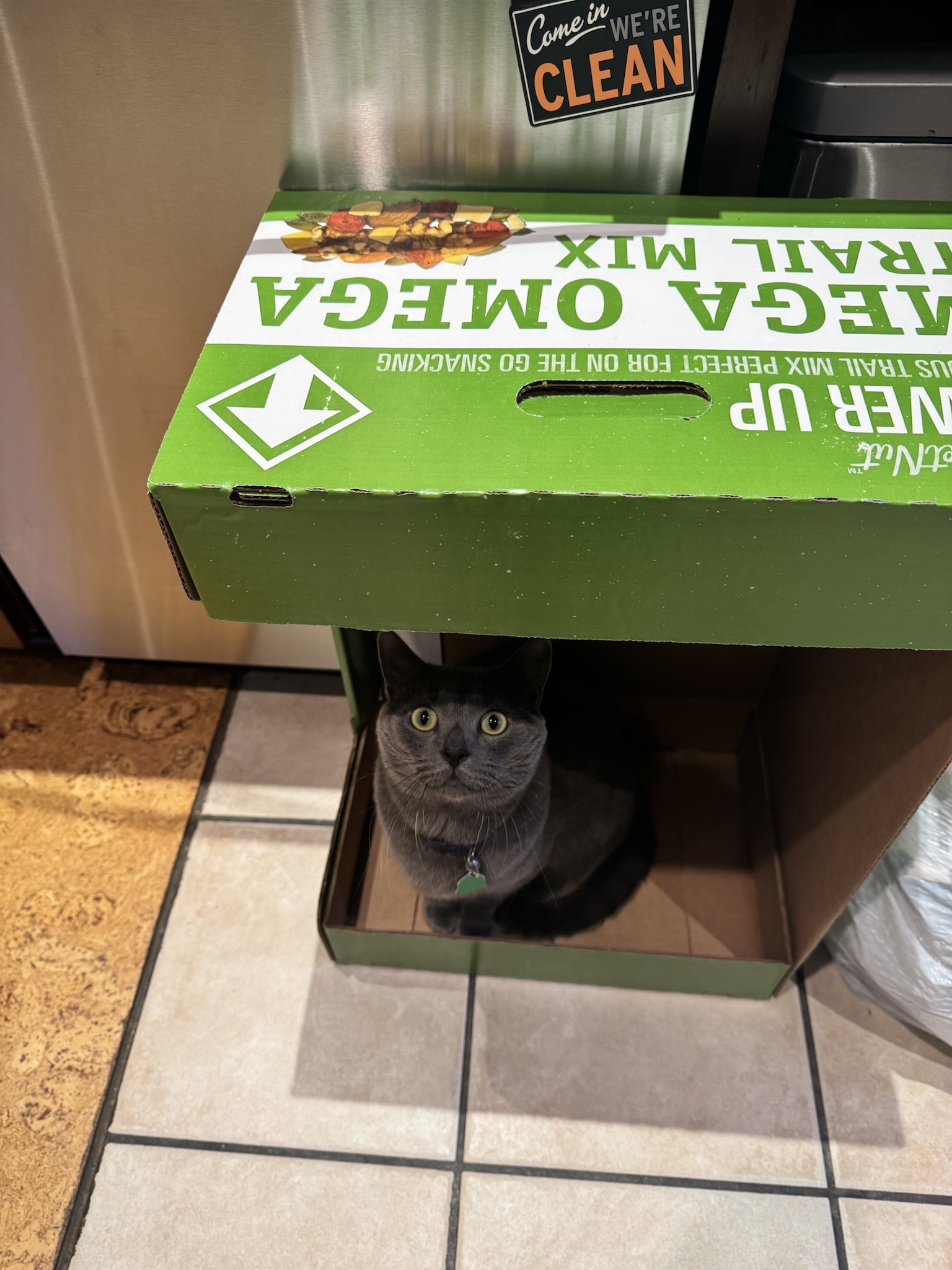 No, Gandalf, That’s Just a Costco Box – It Must Go!