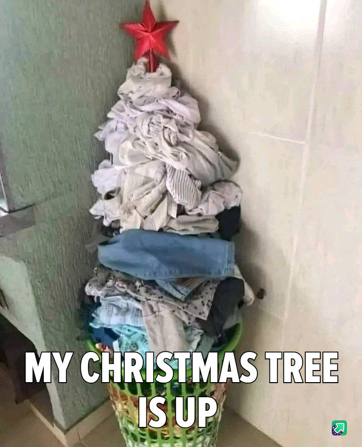 My Christmas Tree is officially up and ready to spread holiday cheer!