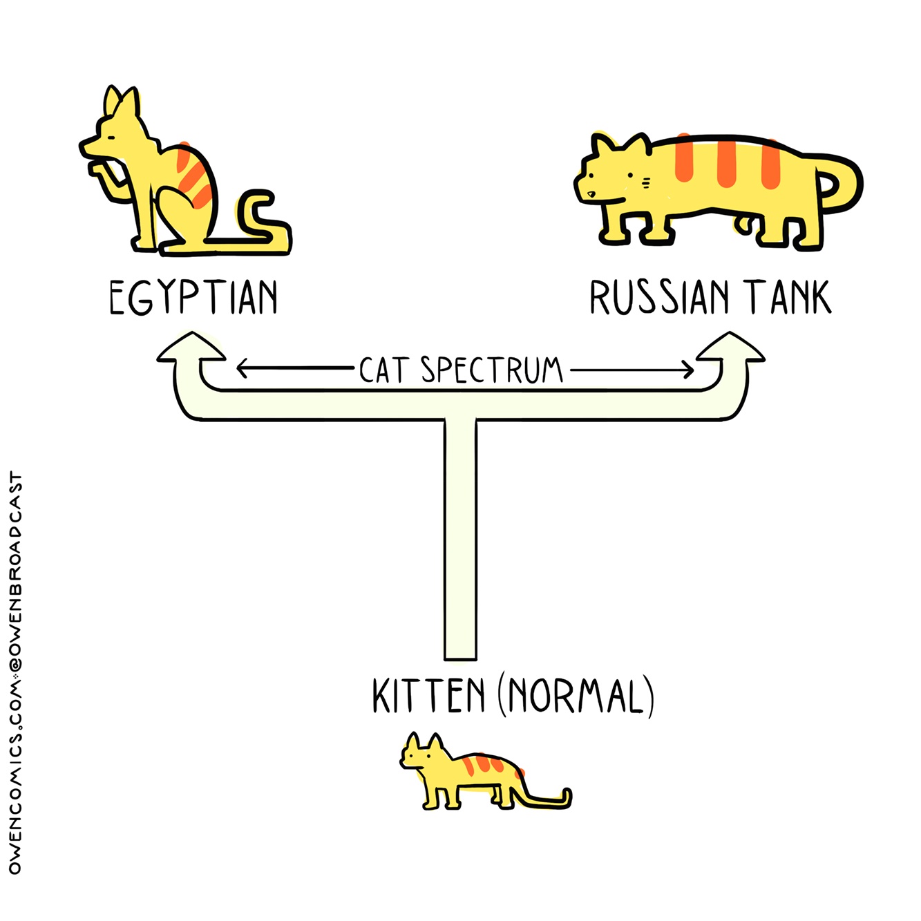 After a month of living with cats, here's what I've discovered: