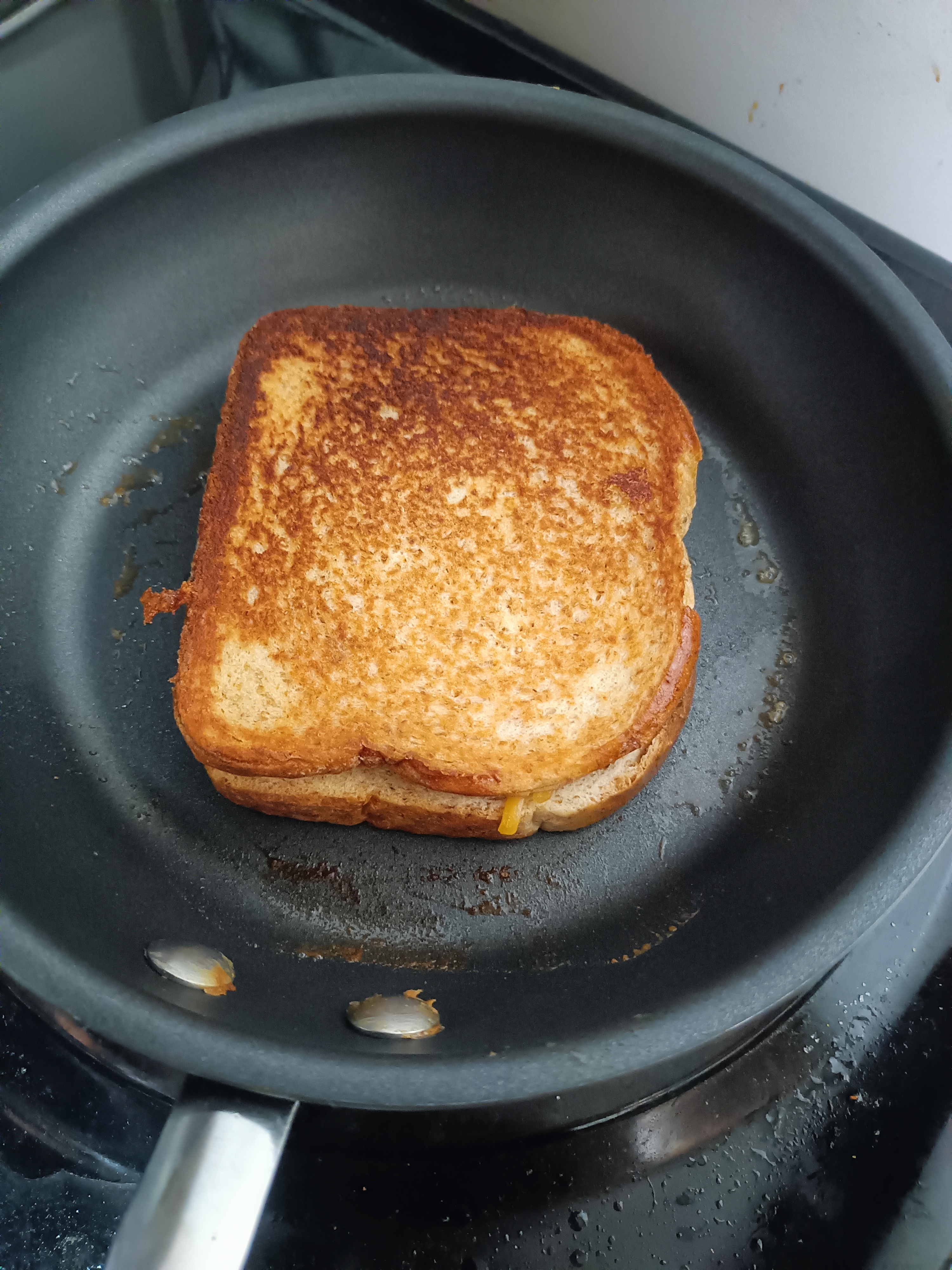 This Grilled Cheese: A Melted Masterpiece!