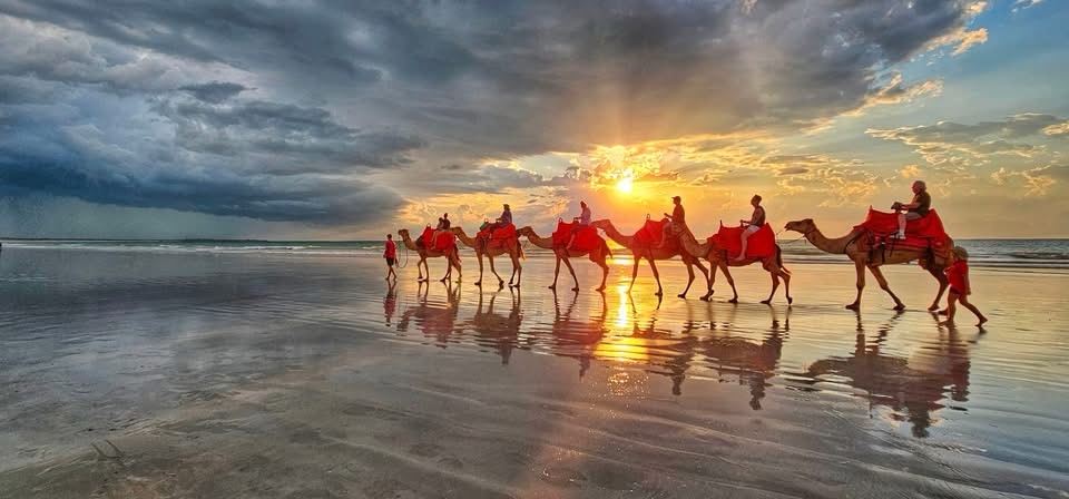Breathtaking Sunset Moments
