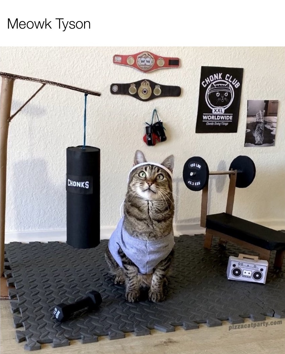 Who Would Win: Tyson or Paul?