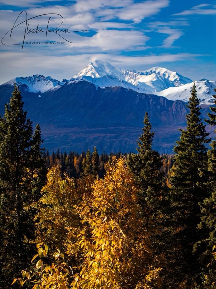 Exploring the Majestic Wilderness of Alaska
