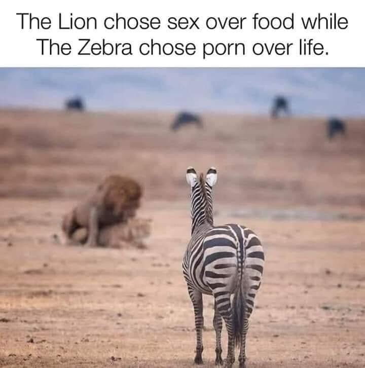 Everyone has their own set of priorities