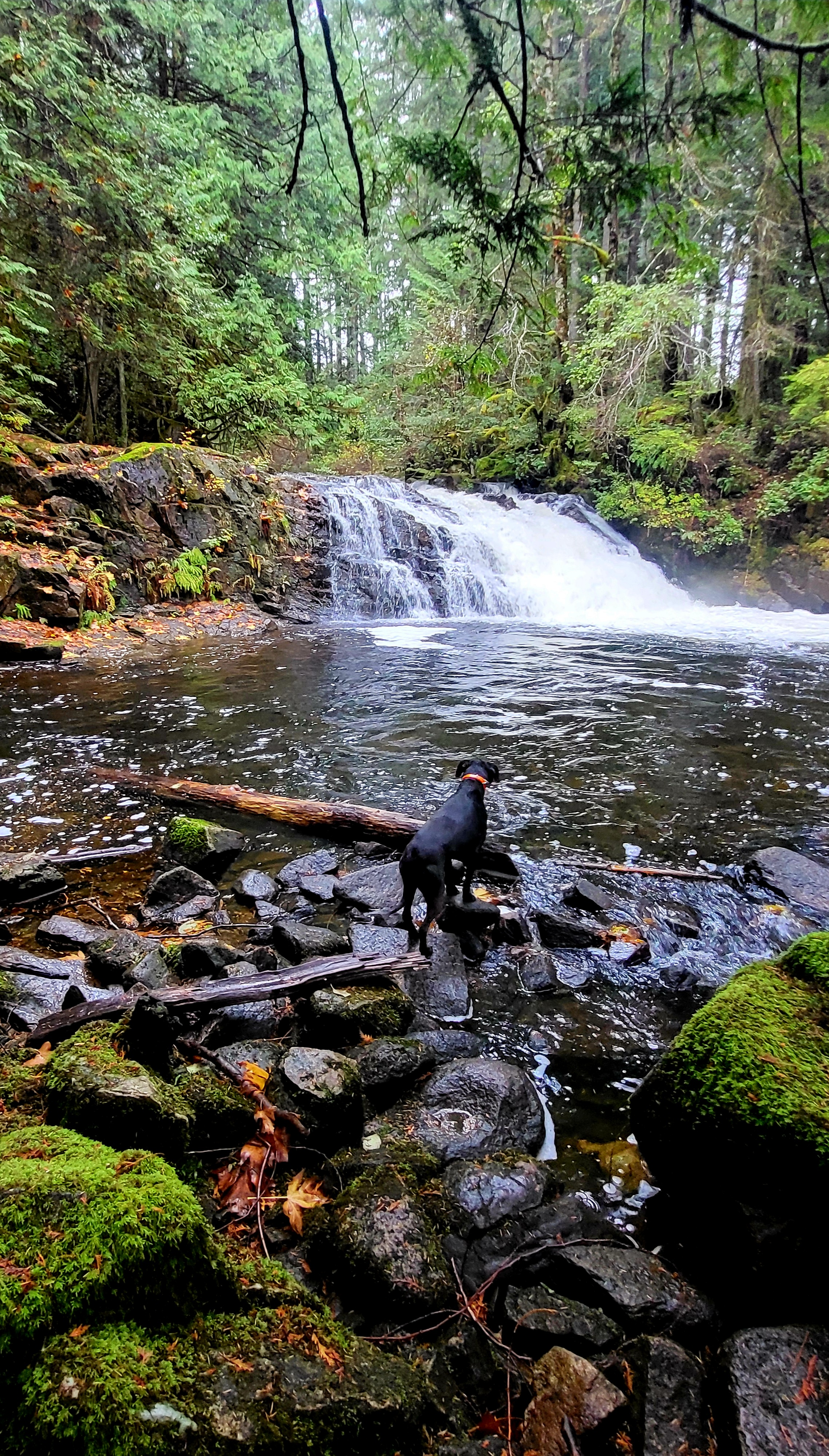 Chasing Waterfalls: A Journey