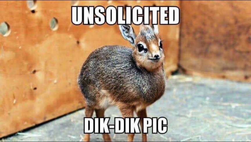 Nostalgic Tastes of Old Imgur