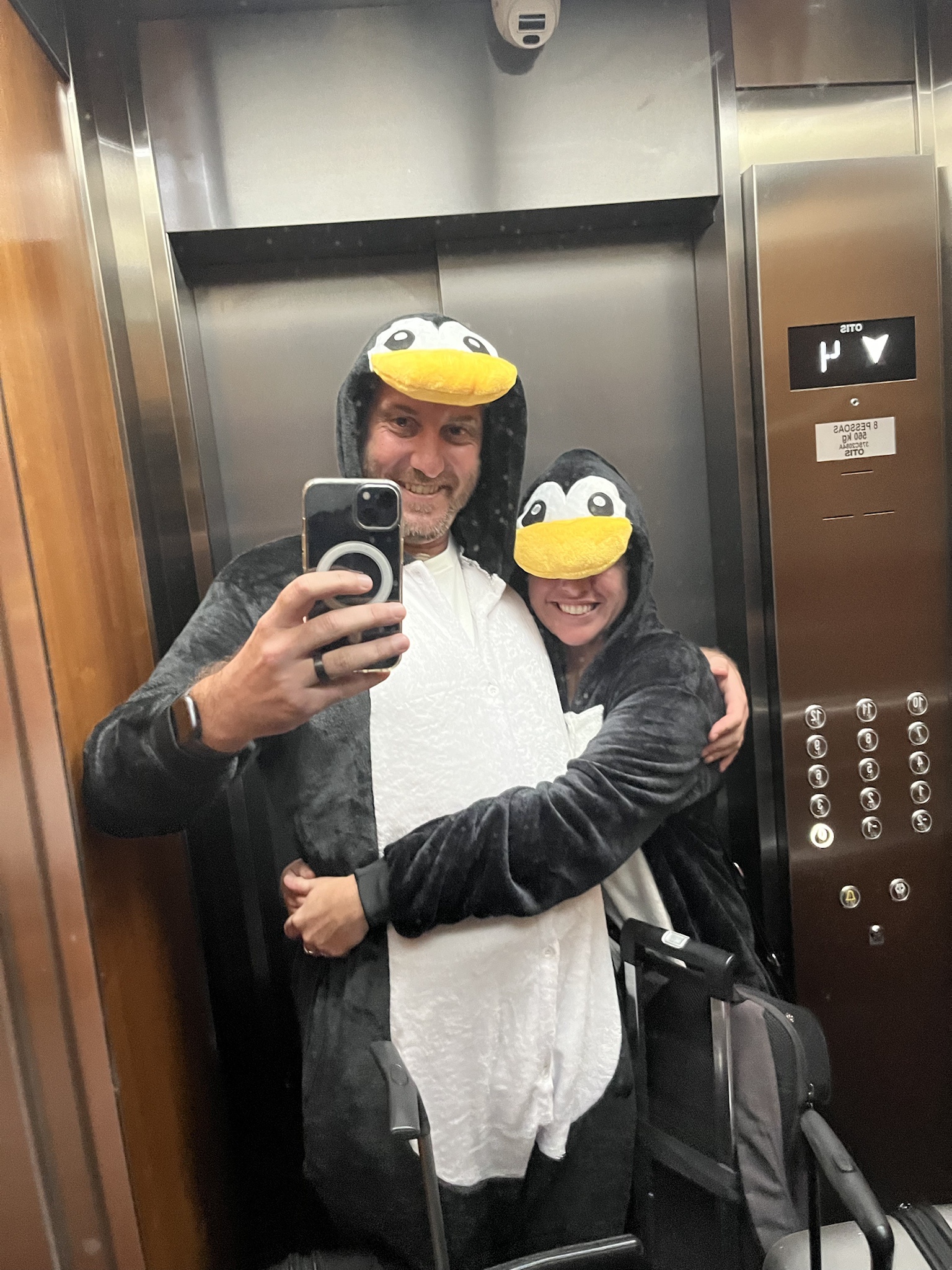 Flightless Birds Headed to the Airport