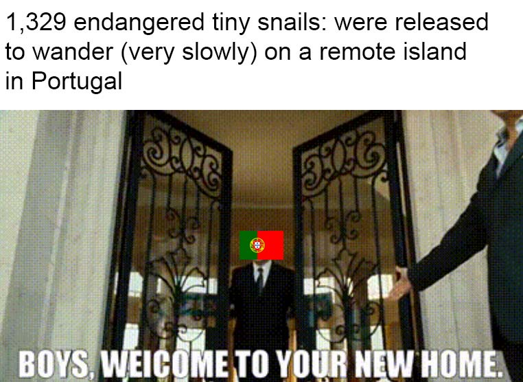 Exciting News for Everyone!