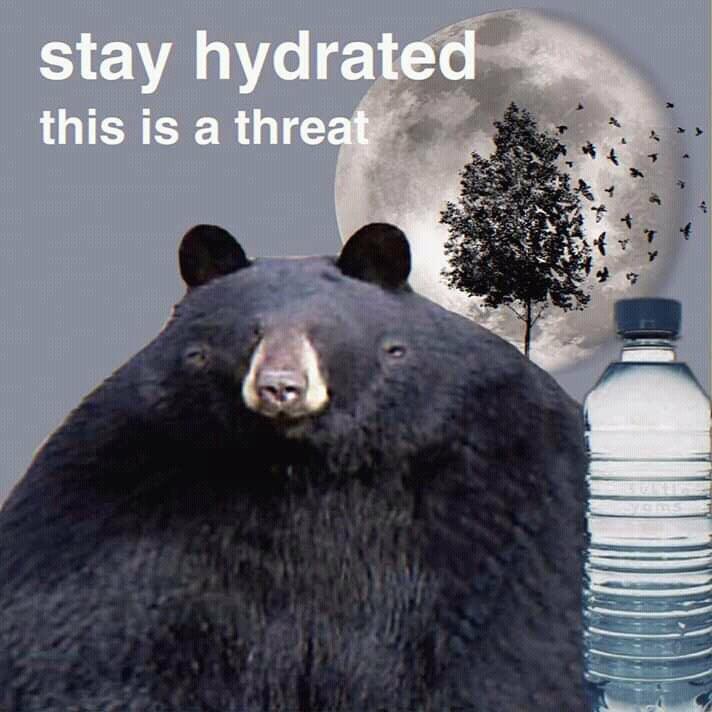 Don't forget to drink your water!